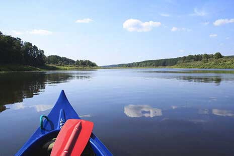 Ecosystem Restoration